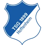Hoffenheim logo